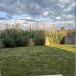 Barn out Backyard 1.1